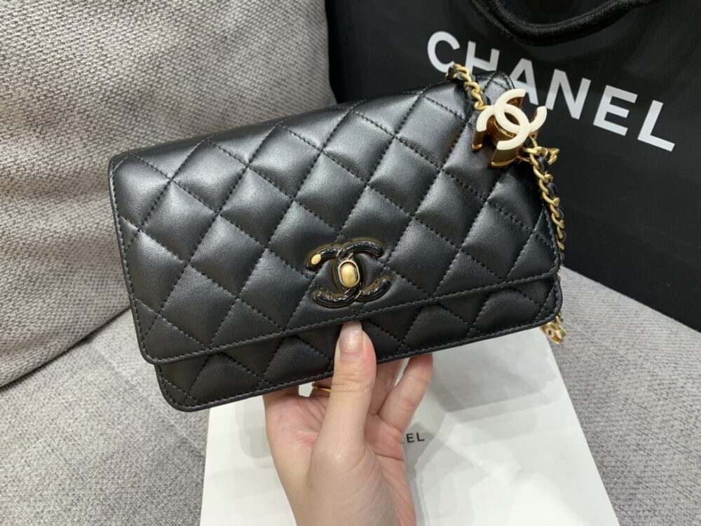 샤넬 24A WOC CC로고 애나멜 AP3938 - 이미지 9